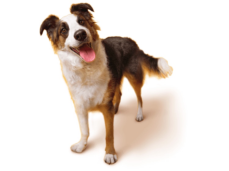 Gesundes Gewichtsmanagement