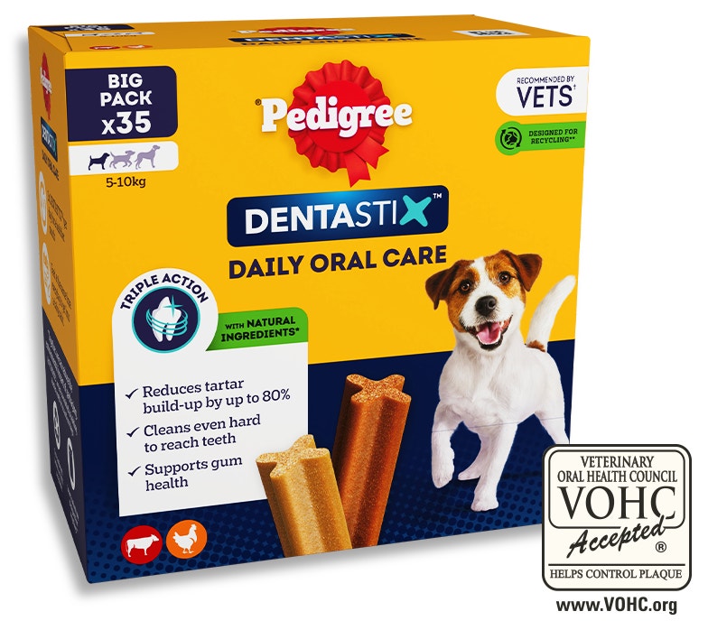 Eine Verpackung von Pedigree Dentastix Zahnpflegekausnacks mit einem Jack Russell Terrier auf der Box.